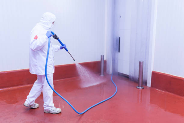Best Pre-Holiday Cleaning  in Columbia Heights, MN