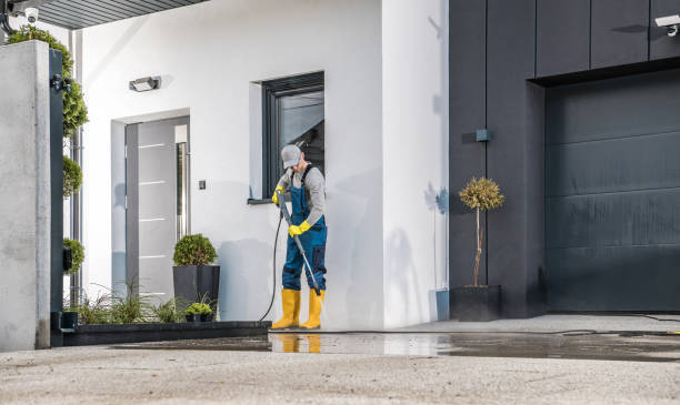Best Gutter Cleaning  in Columbia Heights, MN